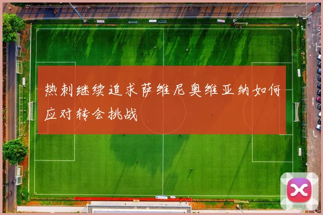 热刺继续追求萨维尼奥维亚纳如何应对转会挑战