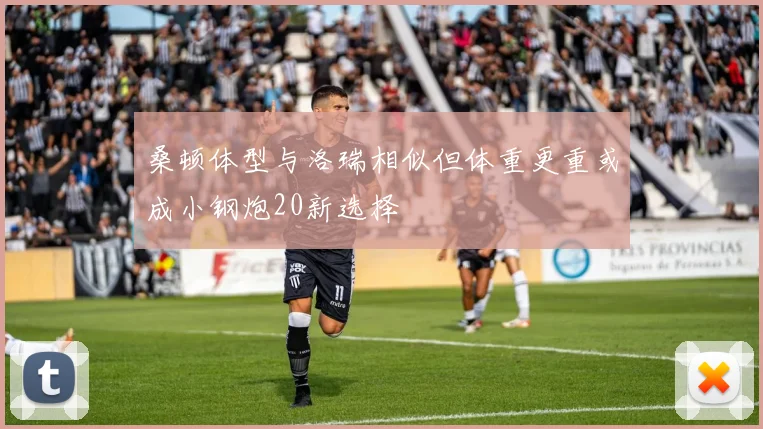 桑顿体型与洛瑞相似但体重更重或成小钢炮20新选择