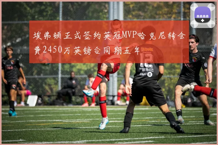 埃弗顿正式签约英冠MVP哈克尼转会费2450万英镑合同期五年